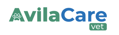 AvilaCare